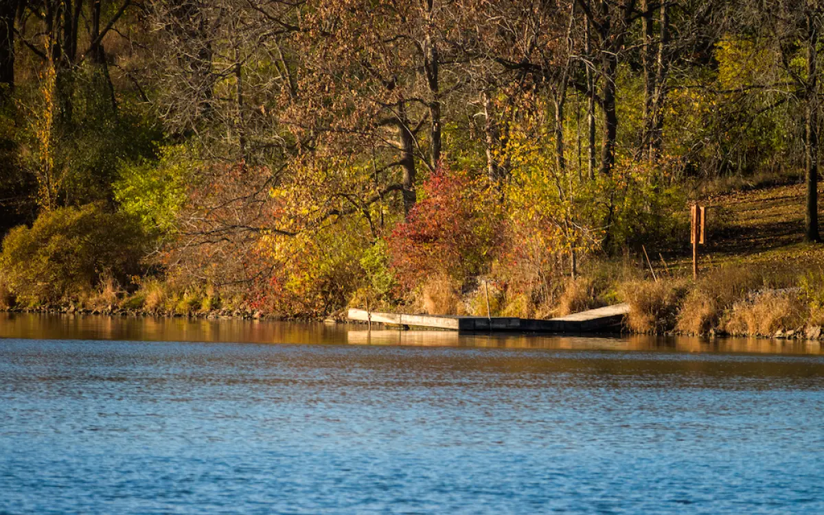Swimming lake
