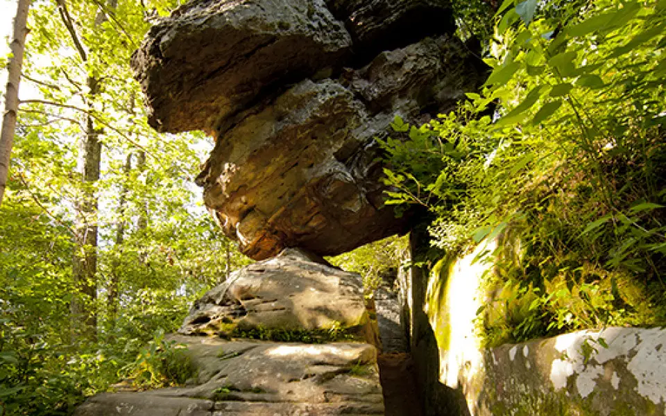 Limestone Caves in the Mississippi Palisades State Park