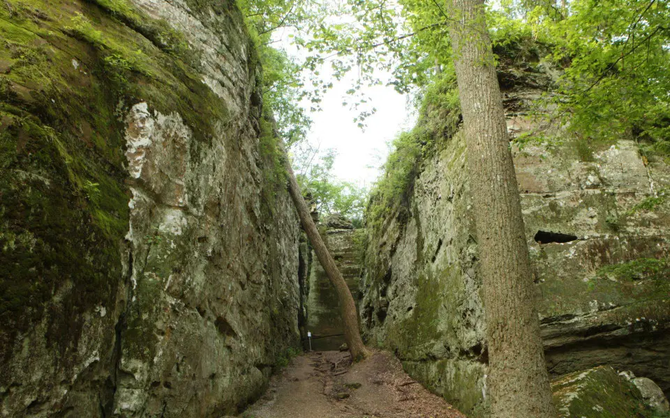 A nature trail in Giant City State Park