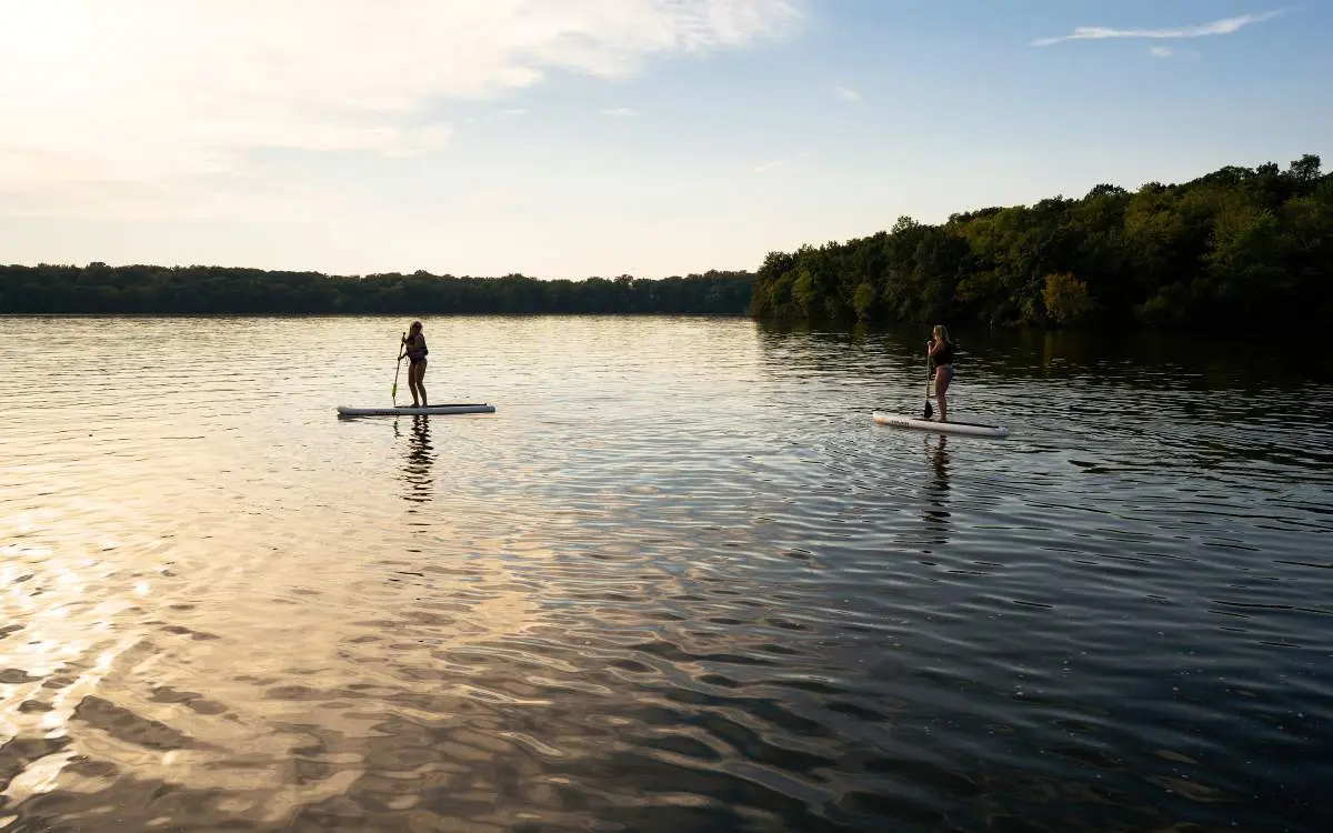 Two people paddle-boarding on a lake