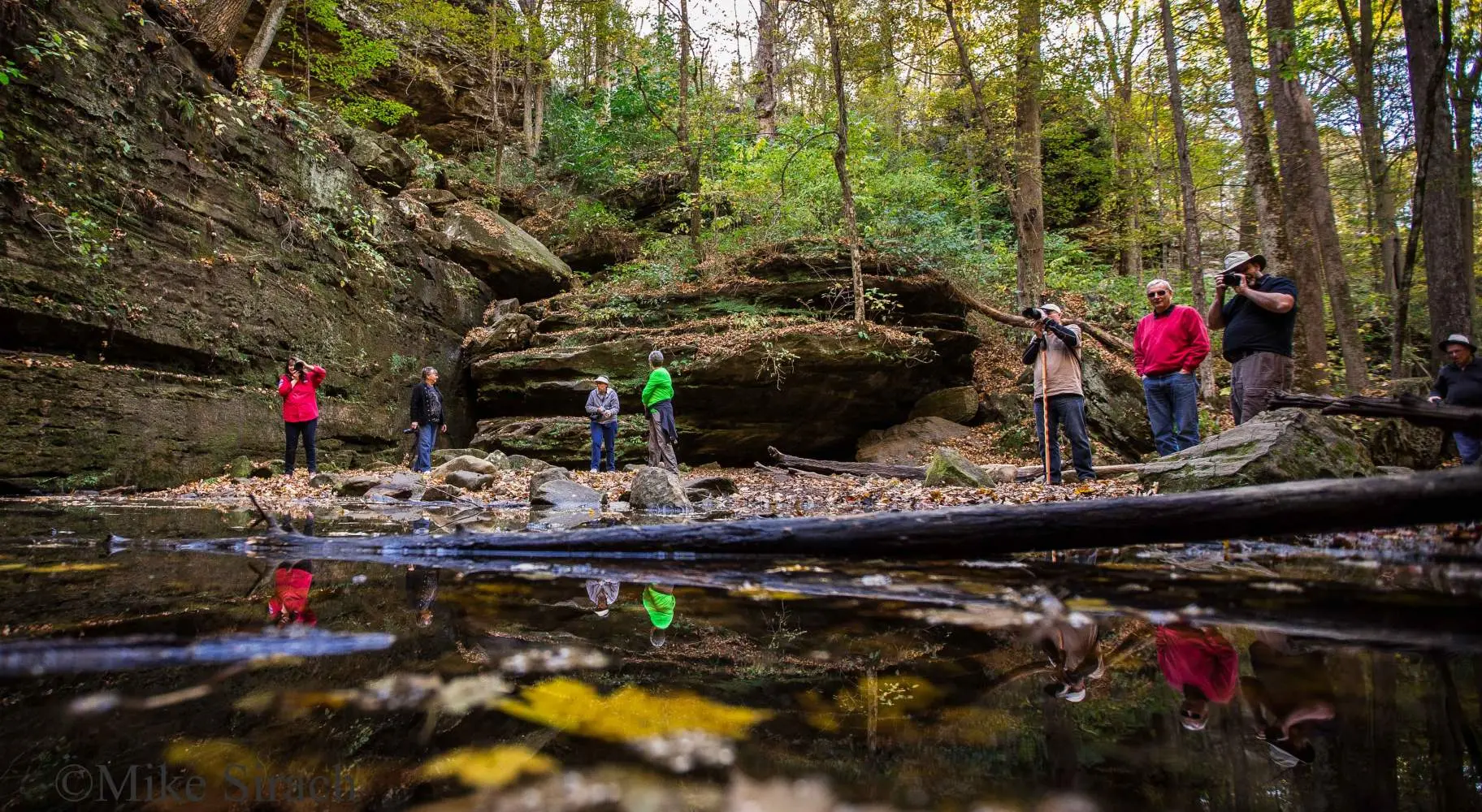 People taking photos at Ferne Clyffe State Park