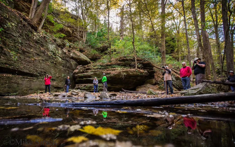People taking photos at Ferne Clyffe State Park