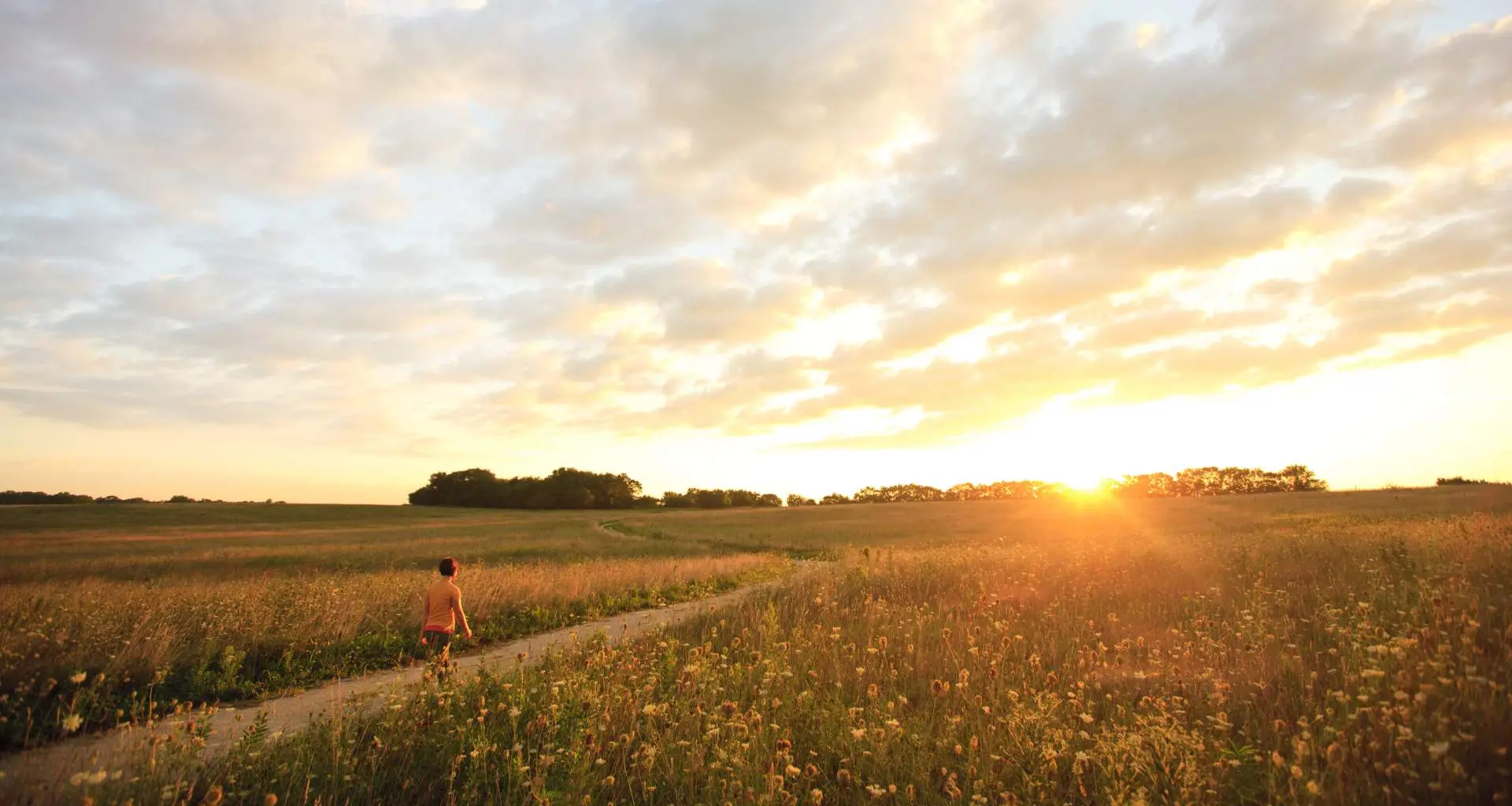 Person hiking through Midewin National Tallgrass Prairie at sunset