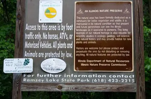 A sign in forest