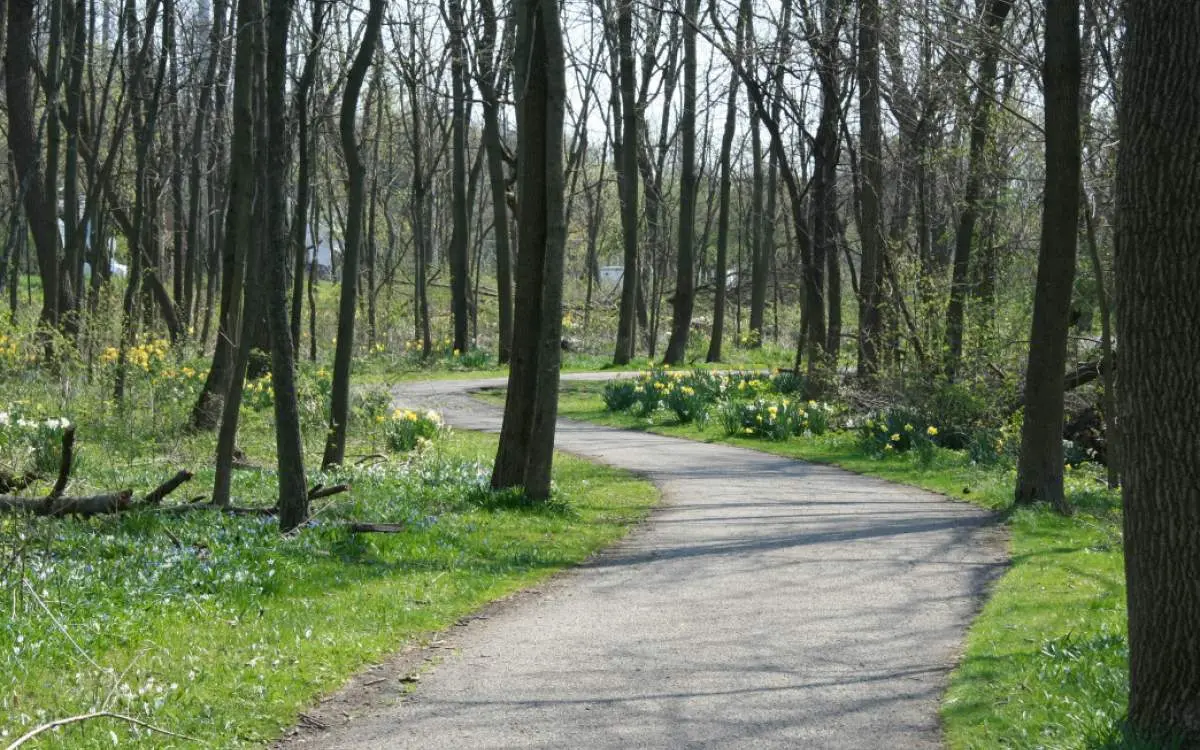 Fox river trail