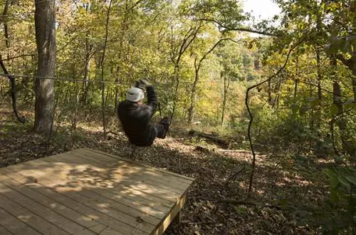 Guy on flying fox through forest
