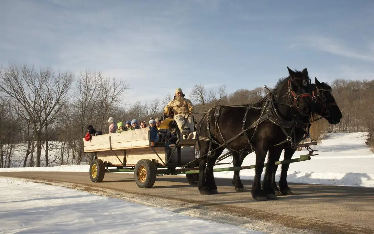 Horse drawn sleigh ride