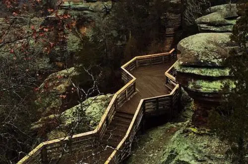 Aerial shot of wooden trail at Shawnee Forest.