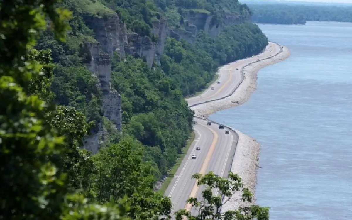 A forest, road and river